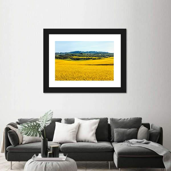 Yellow Mustard Fields Canvas Wall Art-3 Horizontal-Gallery Wrap-25" x 16"-Tiaracle