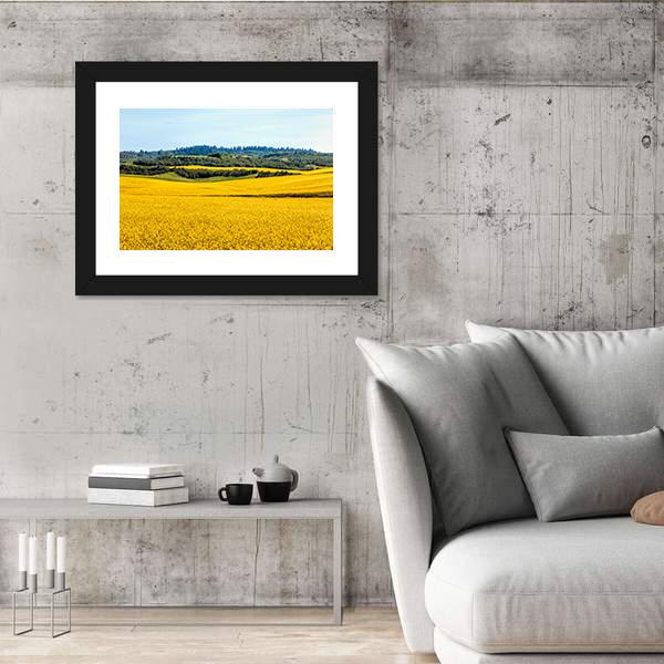 Yellow Mustard Fields Canvas Wall Art-3 Horizontal-Gallery Wrap-25" x 16"-Tiaracle