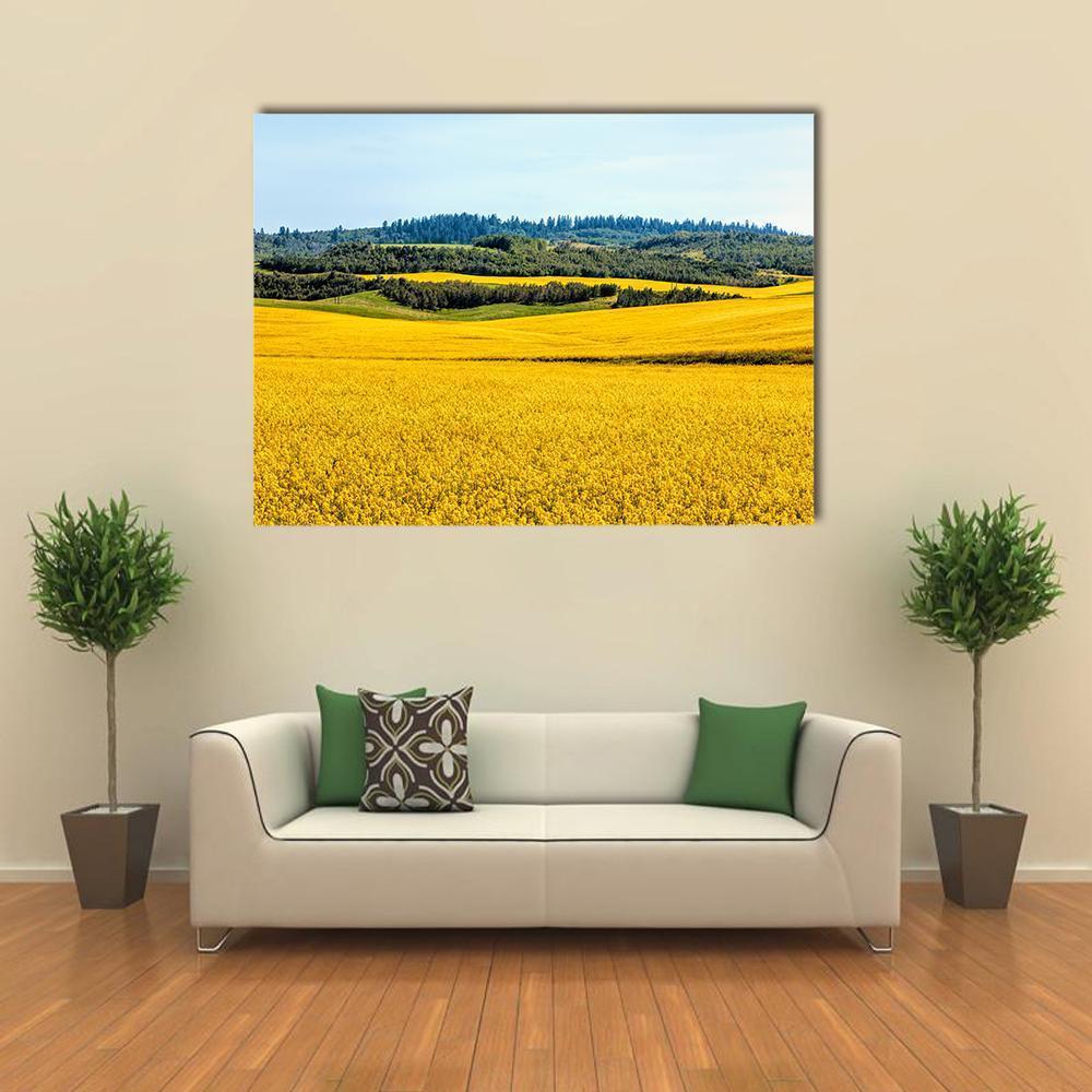 Yellow Mustard Fields Canvas Wall Art in yellow, green and blue, single panel hung on a wall