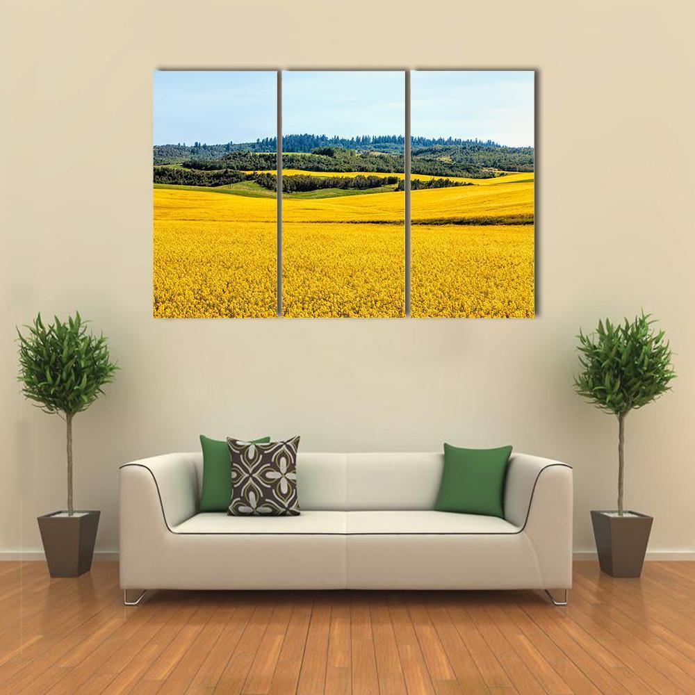 Yellow Mustard Fields Canvas Wall Art-3 Horizontal-Gallery Wrap-37" x 24"-Tiaracle