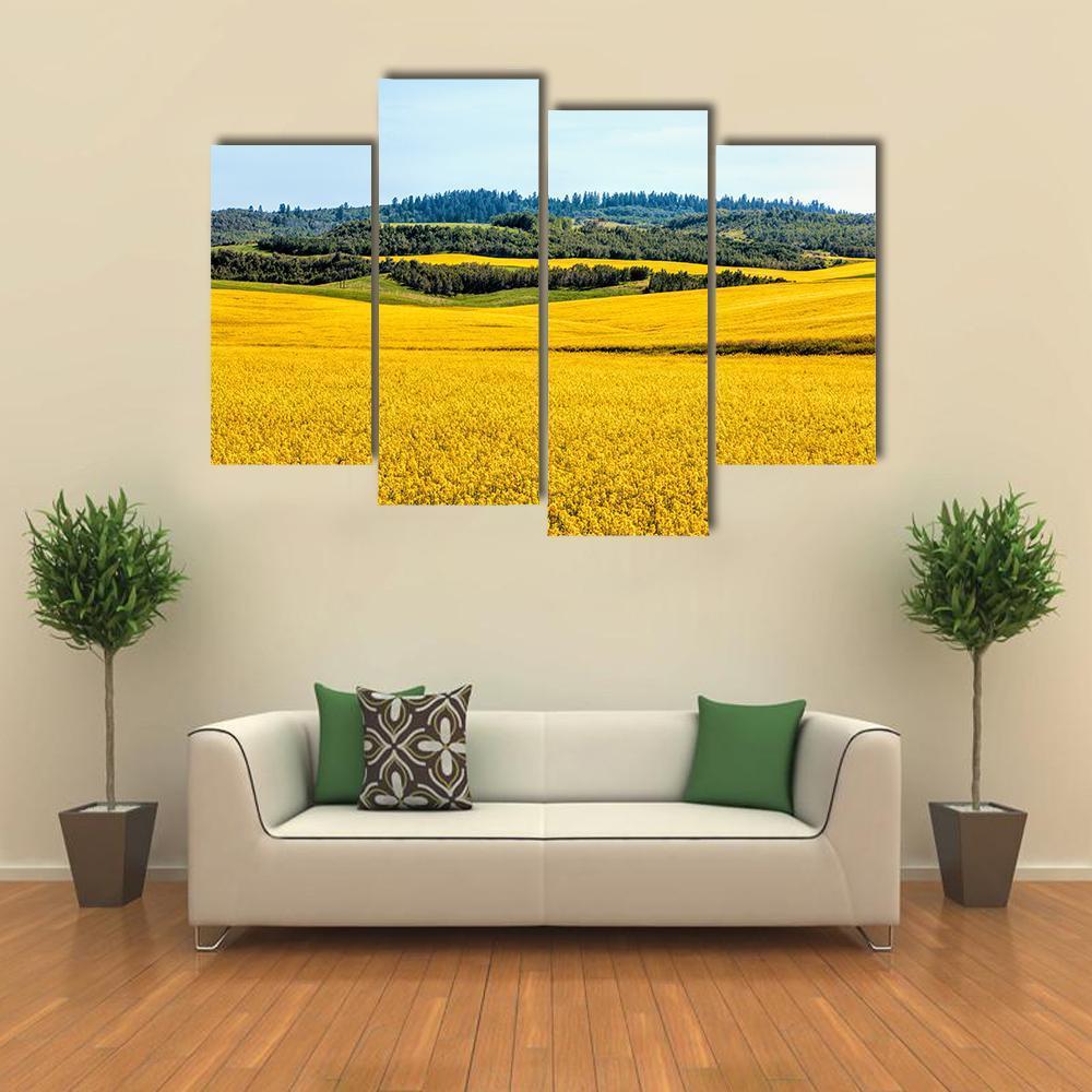 Yellow Mustard Fields Canvas Wall Art-4 Pop-Gallery Wrap-50" x 32"-Tiaracle