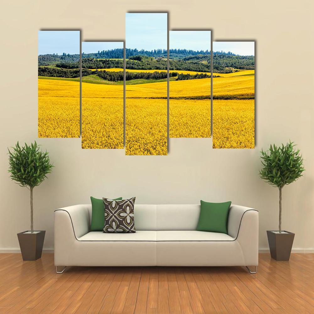 Yellow Mustard Fields Canvas Wall Art-5 Pop-Gallery Wrap-47" x 32"-Tiaracle