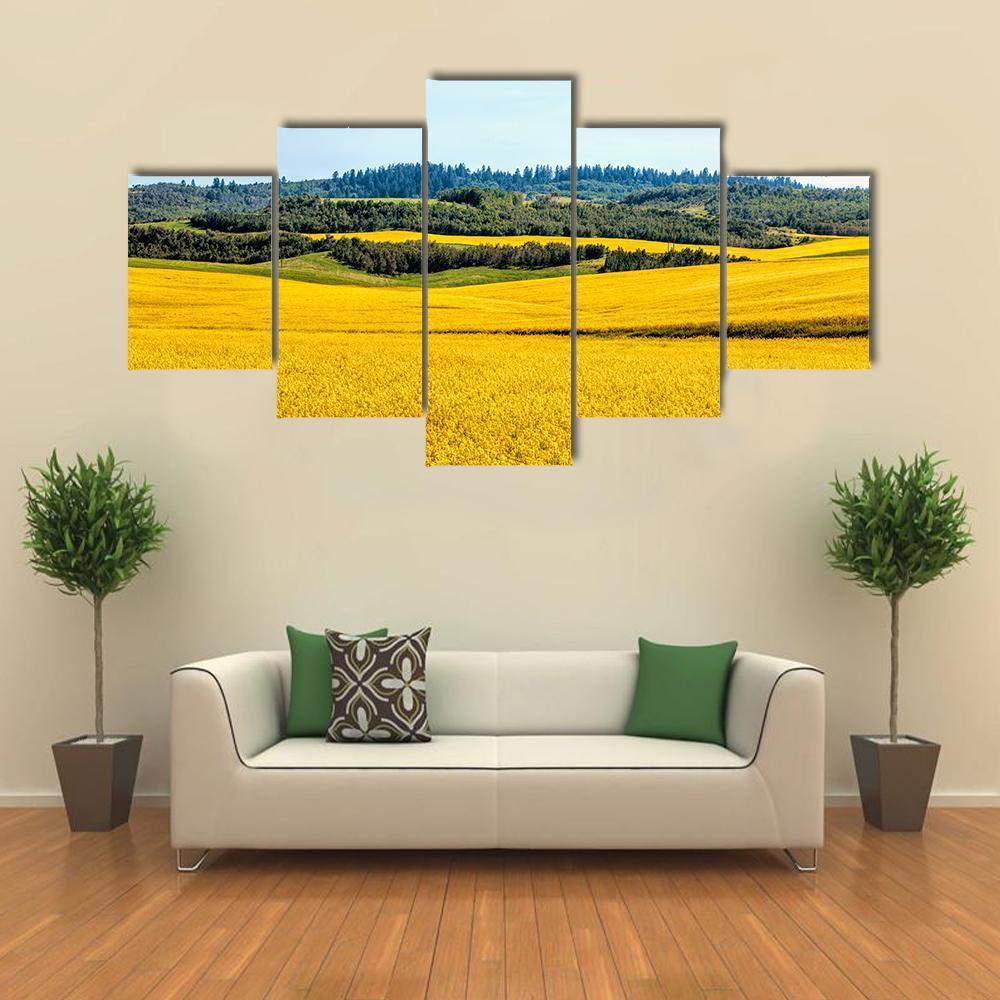 Yellow Mustard Fields Canvas Wall Art-5 Star-Gallery Wrap-62" x 32"-Tiaracle