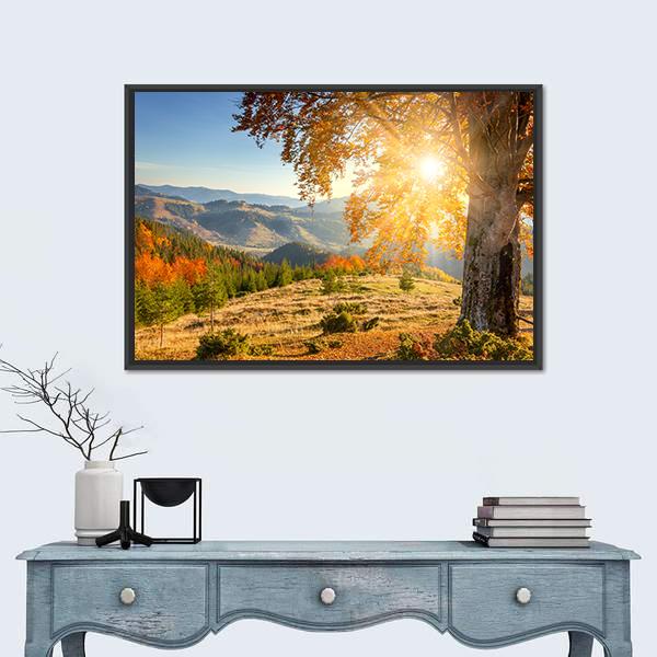 Yellow Old Tree In Autumn Against The Sun Canvas Wall Art-1 Piece-Floating Frame-24" x 16"-Tiaracle