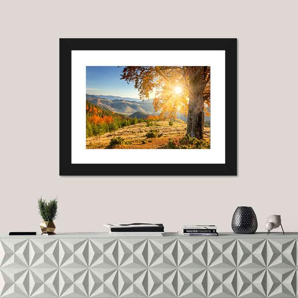 Yellow Old Tree In Autumn Against The Sun Canvas Wall Art-1 Piece-Framed Print-20" x 16"-Tiaracle