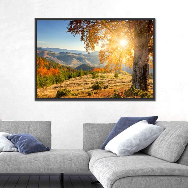 Yellow Old Tree In Autumn Against The Sun Canvas Wall Art-3 Horizontal-Gallery Wrap-25" x 16"-Tiaracle