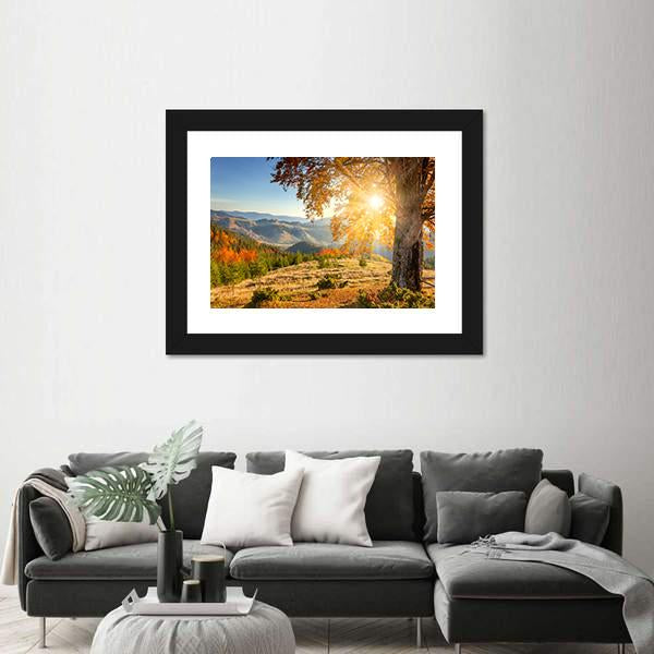 Yellow Old Tree In Autumn Against The Sun Canvas Wall Art-3 Horizontal-Gallery Wrap-25" x 16"-Tiaracle