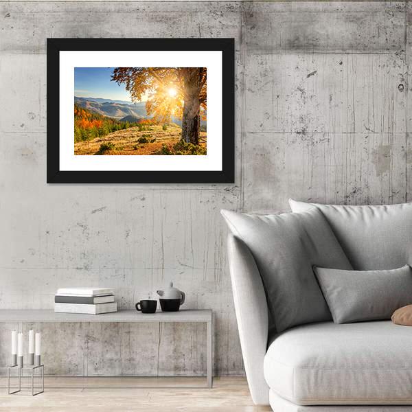 Yellow Old Tree In Autumn Against The Sun Canvas Wall Art-3 Horizontal-Gallery Wrap-25" x 16"-Tiaracle
