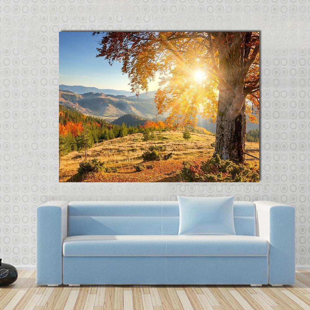 Yellow Autumn Tree Against the Sun Canvas Wall Art in brown, orange and yellow, single panel hung on a wall
