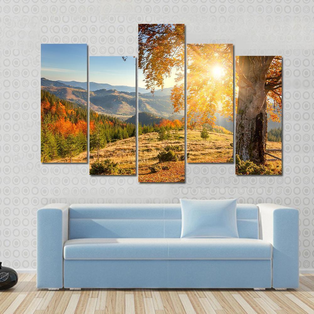 Yellow Old Tree In Autumn Against The Sun Canvas Wall Art-5 Pop-Gallery Wrap-47" x 32"-Tiaracle