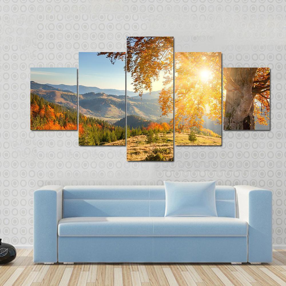 Yellow Old Tree In Autumn Against The Sun Canvas Wall Art-5 Star-Gallery Wrap-62" x 32"-Tiaracle