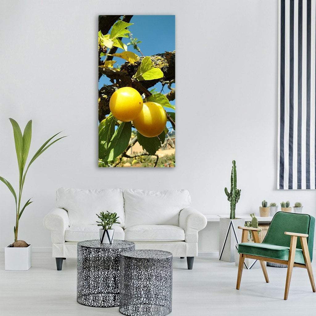 Yellow Plums Fruit In Summer Vertical Canvas Wall Art-1 Vertical-Gallery Wrap-12" x 24"-Tiaracle