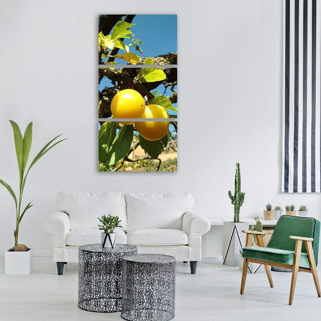 Yellow Plums Fruit In Summer Vertical Canvas Wall Art-1 Vertical-Gallery Wrap-12" x 24"-Tiaracle