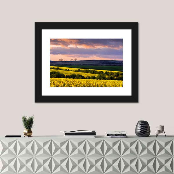 Yellow Rape Field On Blue Sky Canvas Wall Art-1 Piece-Framed Print-20" x 16"-Tiaracle