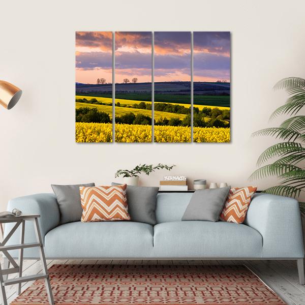 Yellow Rape Field On Blue Sky Canvas Wall Art-4 Horizontal-Gallery Wrap-34" x 24"-Tiaracle