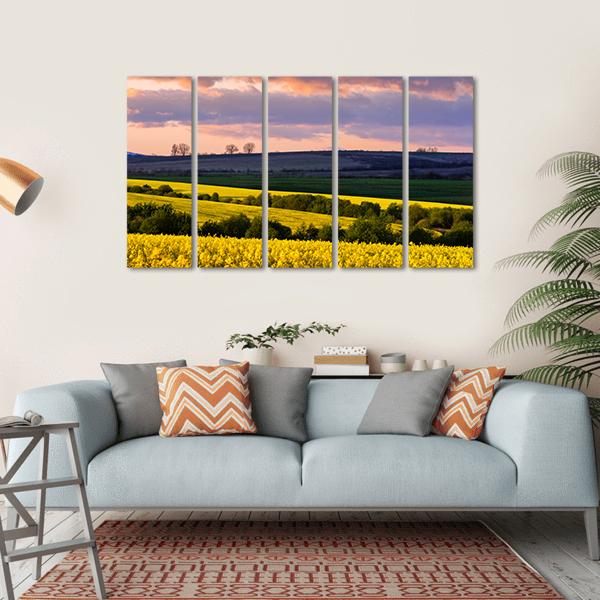 Yellow Rape Field On Blue Sky Canvas Wall Art-5 Horizontal-Gallery Wrap-22" x 12"-Tiaracle
