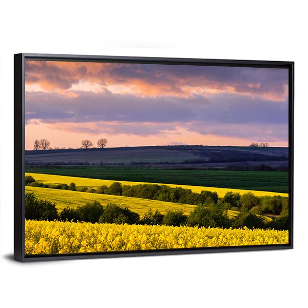 Yellow Rape Field On Blue Sky Canvas Wall Art-3 Horizontal-Gallery Wrap-25" x 16"-Tiaracle