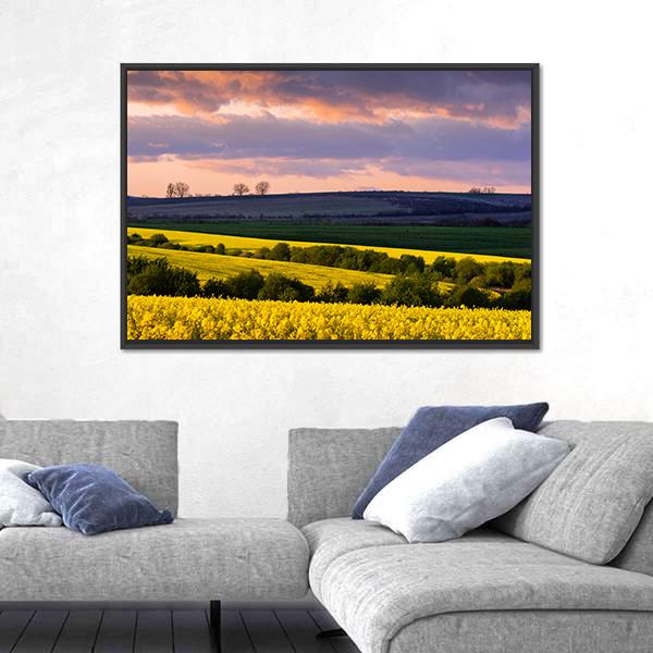 Yellow Rape Field On Blue Sky Canvas Wall Art-3 Horizontal-Gallery Wrap-25" x 16"-Tiaracle