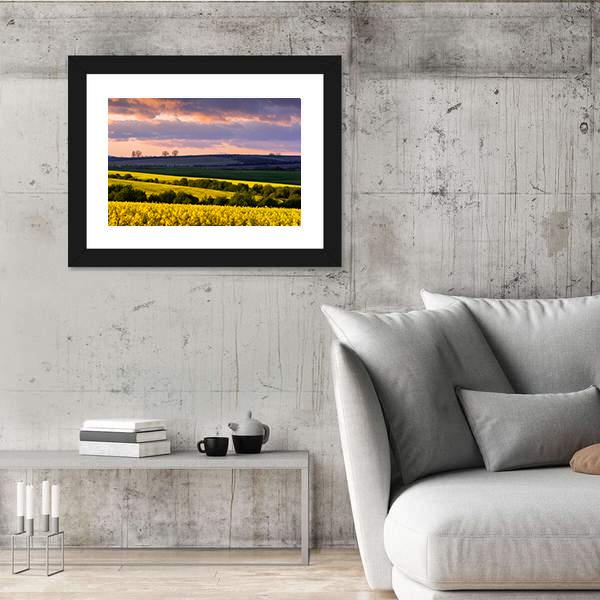 Yellow Rape Field On Blue Sky Canvas Wall Art-3 Horizontal-Gallery Wrap-25" x 16"-Tiaracle