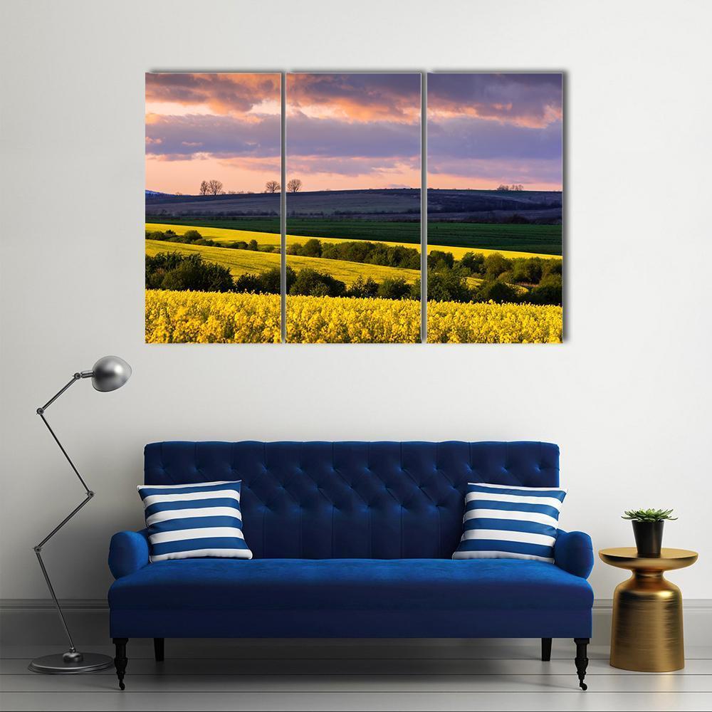 Yellow Rape Field On Blue Sky Canvas Wall Art-3 Horizontal-Gallery Wrap-37" x 24"-Tiaracle