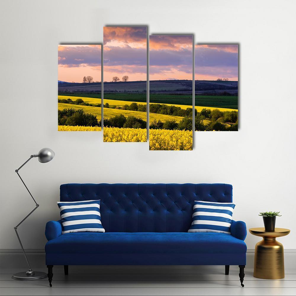Yellow Rape Field On Blue Sky Canvas Wall Art-4 Pop-Gallery Wrap-50" x 32"-Tiaracle