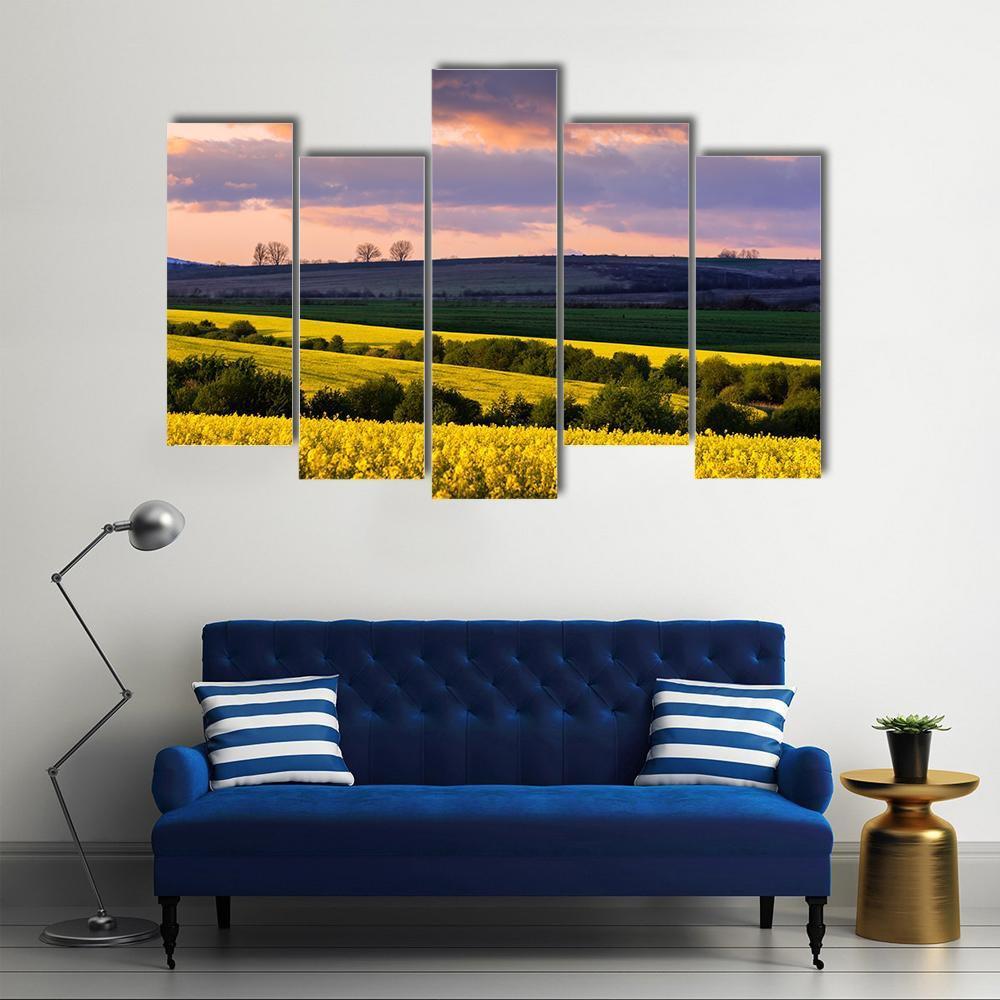 Yellow Rape Field On Blue Sky Canvas Wall Art-5 Pop-Gallery Wrap-47" x 32"-Tiaracle