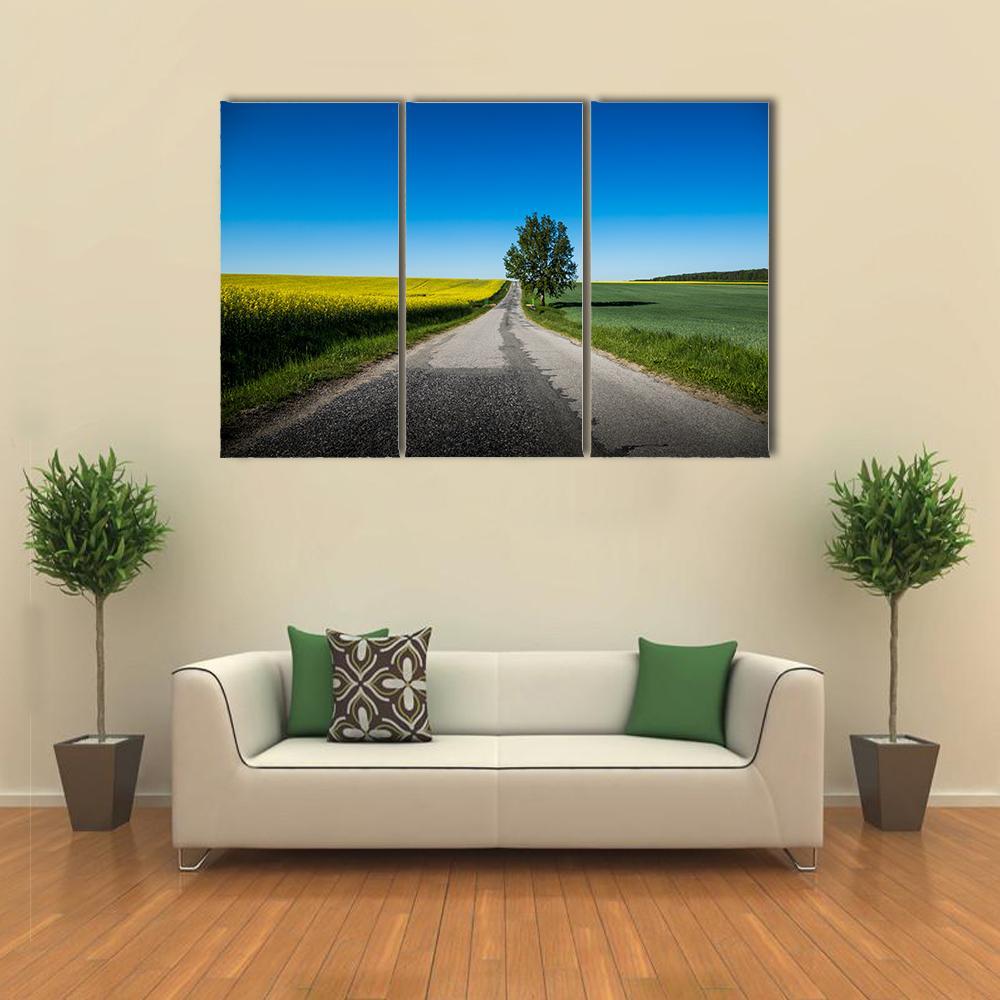 Yellow Rapeseed Field Canvas Wall Art-3 Horizontal-Gallery Wrap-37" x 24"-Tiaracle