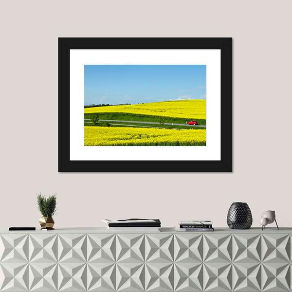 Yellow Rapse Field In Spring Canvas Wall Art-1 Piece-Framed Print-20" x 16"-Tiaracle