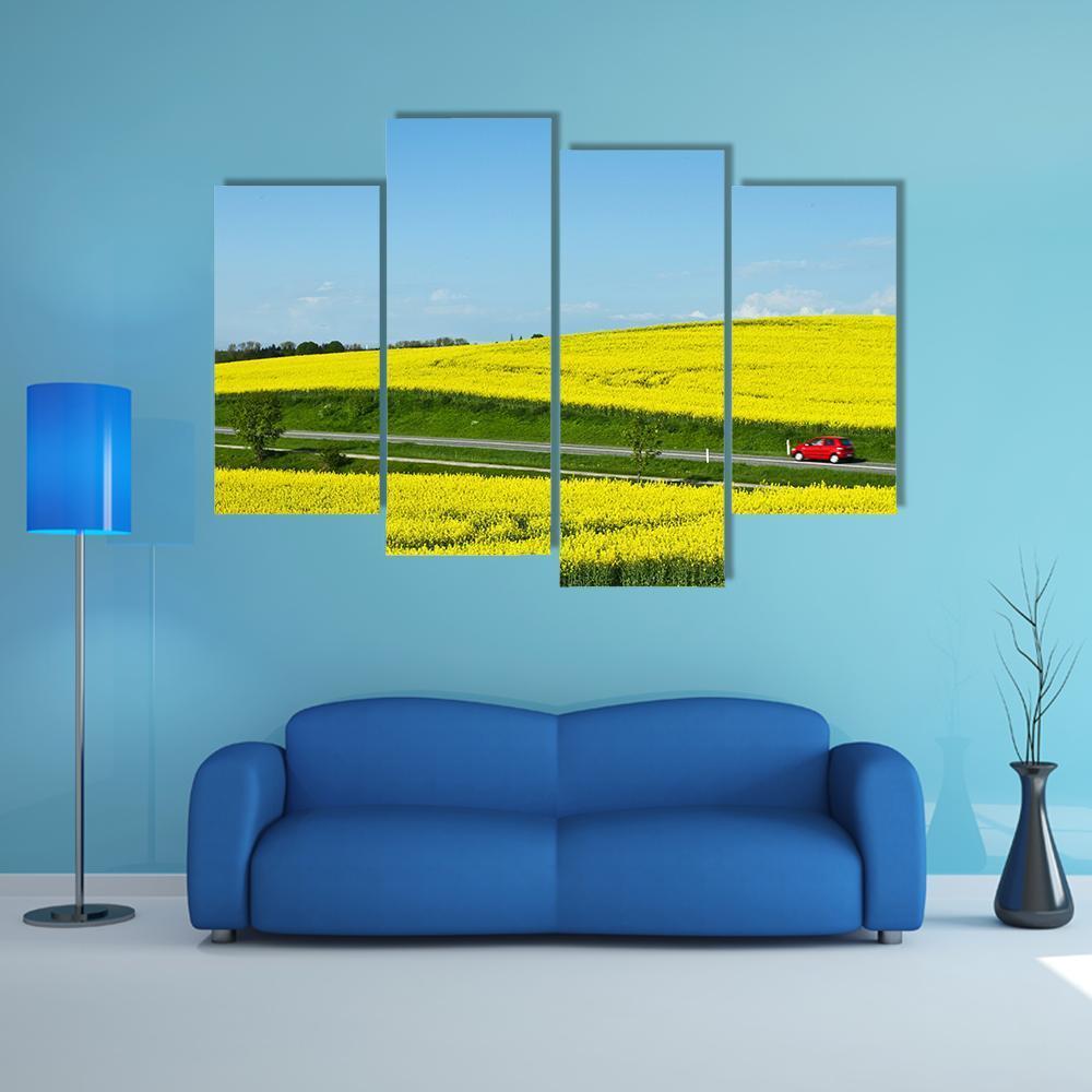 Yellow Rapse Field In Spring Canvas Wall Art-4 Pop-Gallery Wrap-50" x 32"-Tiaracle