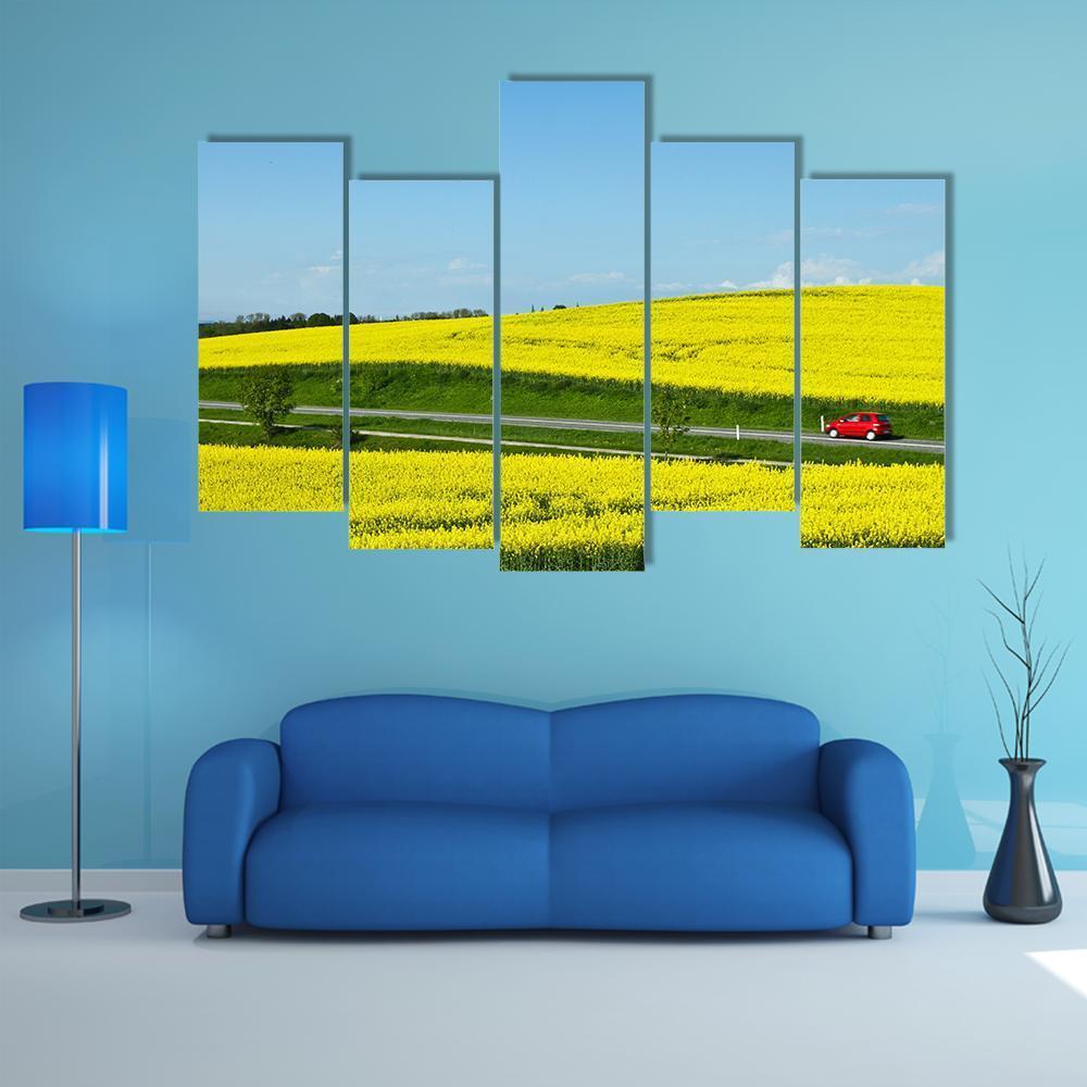 Yellow Rapse Field In Spring Canvas Wall Art-5 Pop-Gallery Wrap-47" x 32"-Tiaracle