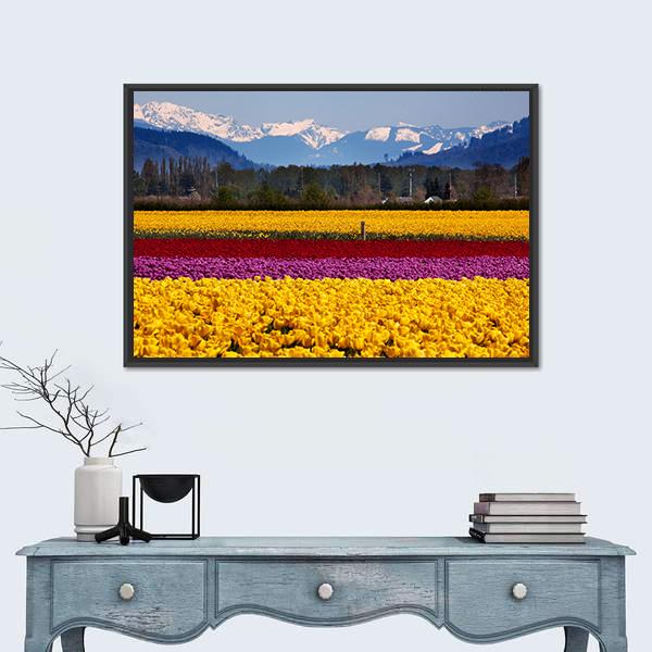 Yellow Red Purple Tulips Flowers Daffodils Canvas Wall Art-3 Horizontal-Gallery Wrap-25" x 16"-Tiaracle