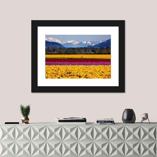 Yellow Red Purple Tulips Flowers Daffodils Canvas Wall Art-3 Horizontal-Gallery Wrap-25" x 16"-Tiaracle