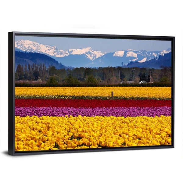 Yellow Red Purple Tulips Flowers Daffodils Canvas Wall Art-5 Horizontal-Gallery Wrap-22" x 12"-Tiaracle