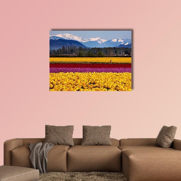 Spring Tulip Field with Snow-capped Mountains Canvas Wall Art in yellow, blue and multicolor, single panel hung on a wall