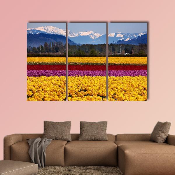 Yellow Red Purple Tulips Flowers Daffodils Canvas Wall Art-3 Horizontal-Gallery Wrap-37" x 24"-Tiaracle