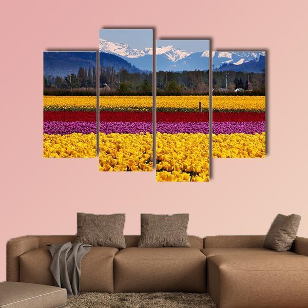 Yellow Red Purple Tulips Flowers Daffodils Canvas Wall Art-4 Pop-Gallery Wrap-50" x 32"-Tiaracle