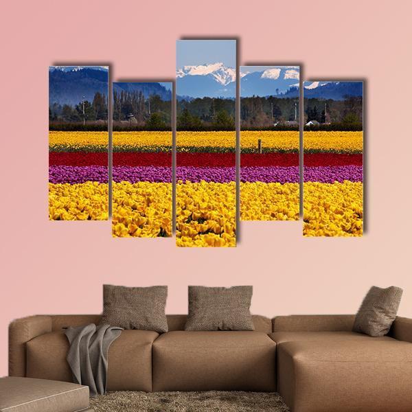 Yellow Red Purple Tulips Flowers Daffodils Canvas Wall Art-5 Pop-Gallery Wrap-47" x 32"-Tiaracle