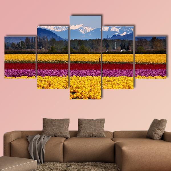 Yellow Red Purple Tulips Flowers Daffodils Canvas Wall Art-5 Pop-Gallery Wrap-47" x 32"-Tiaracle