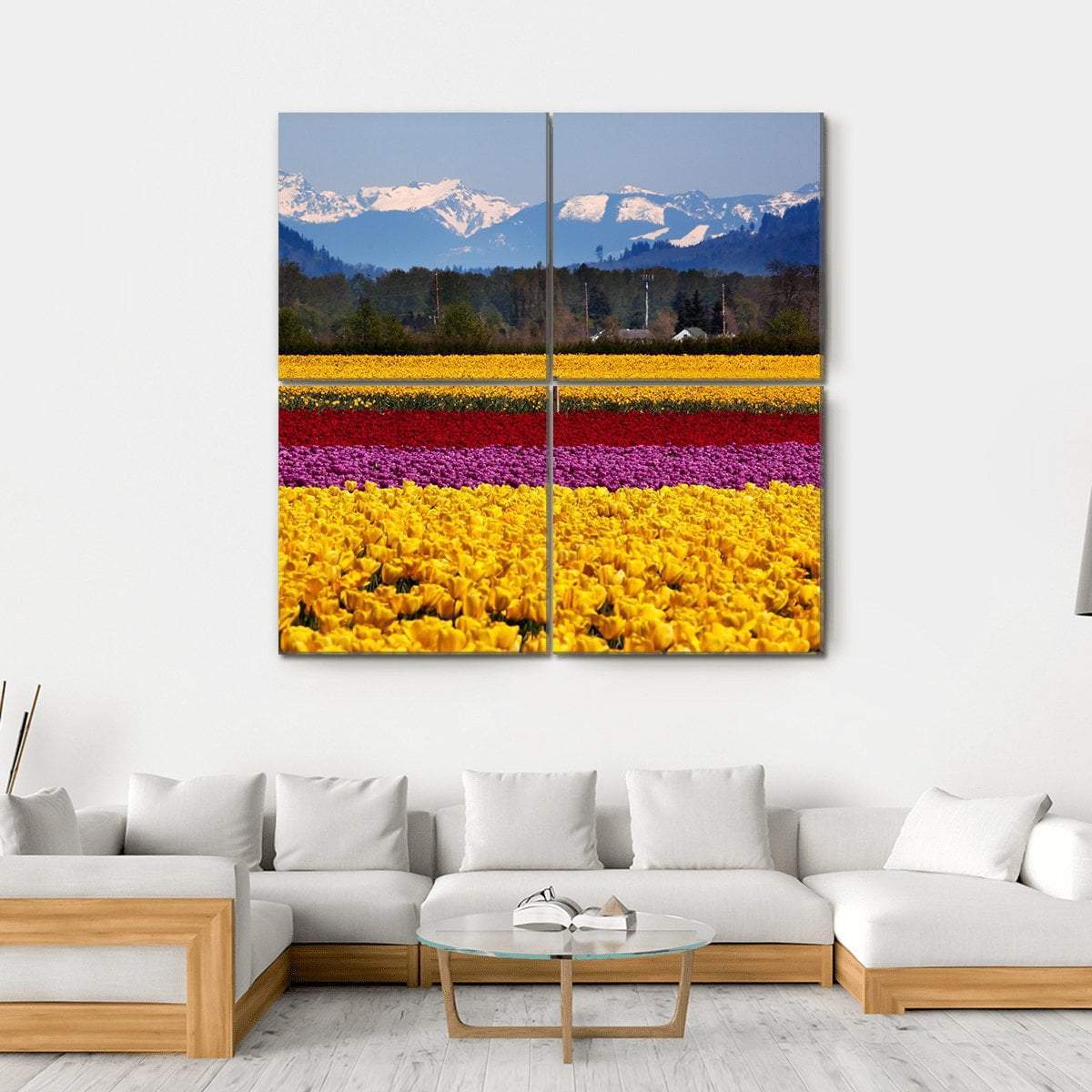 Yellow Red Purple Tulips Flowers Daffodils Canvas Wall Art-4 Square-Gallery Wrap-17" x 17"-Tiaracle