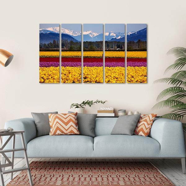 Yellow Red Purple Tulips Flowers Daffodils Canvas Wall Art-5 Horizontal-Gallery Wrap-22" x 12"-Tiaracle