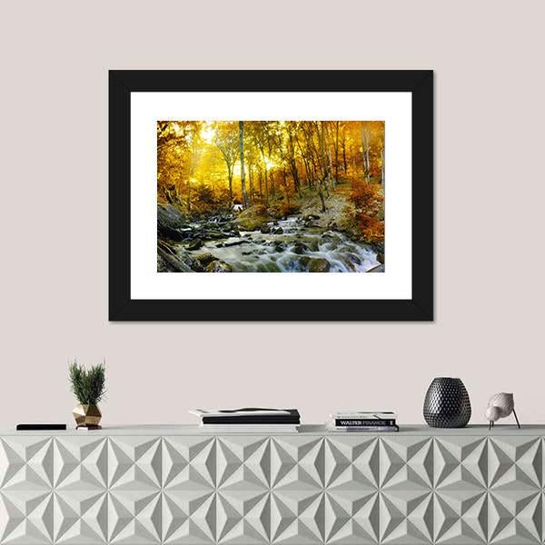 Yellow Trees Foliage And Rocks In Forest Canvas Wall Art-1 Piece-Framed Print-20" x 16"-Tiaracle