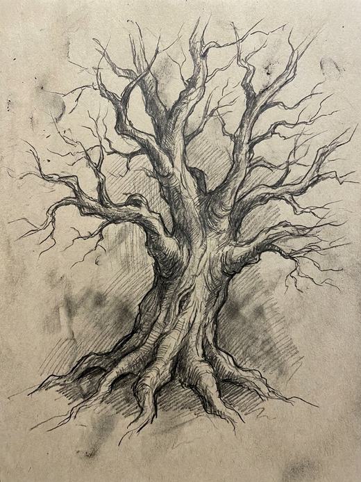 Drawing and Sketch wall art, an example of the style